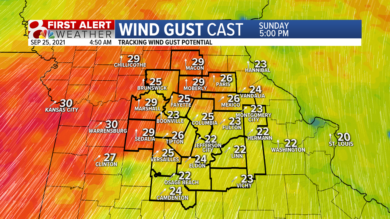 ECMWF ADI W Gust.png